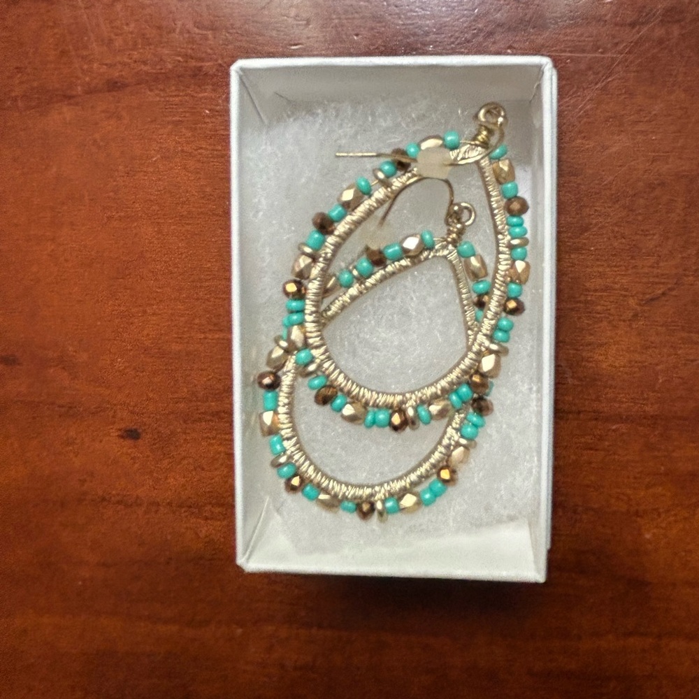 New loop earings, never worn